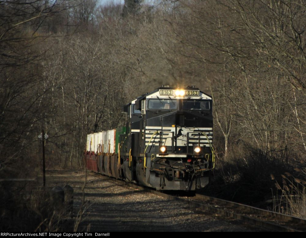 NS 8163 leads 264